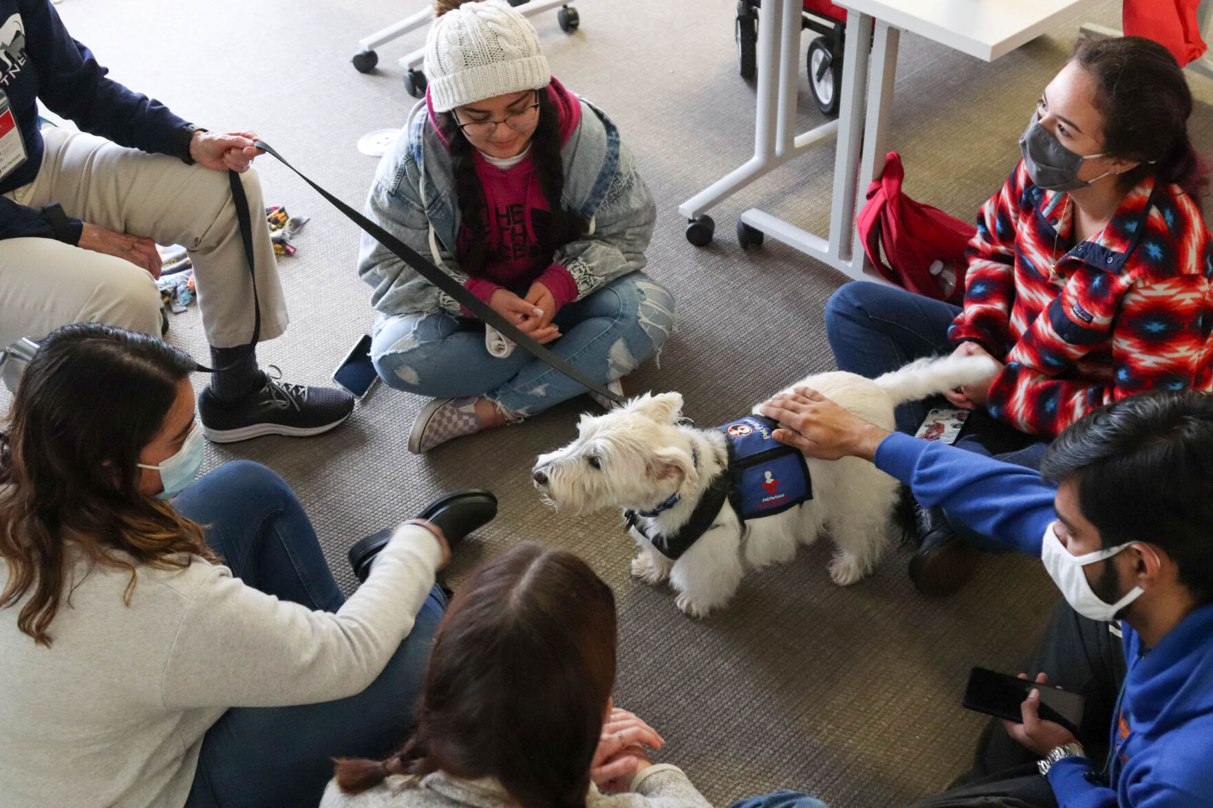 Doggy Days brings relaxation to students through pet therapy